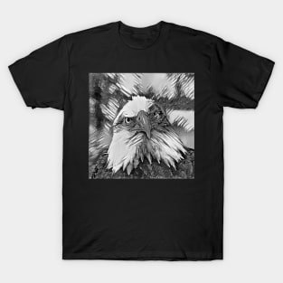 AnimalArtBW Eagle 003 T-Shirt